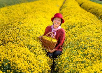 Good mental health habits