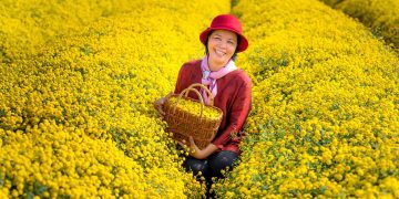 Good mental health habits