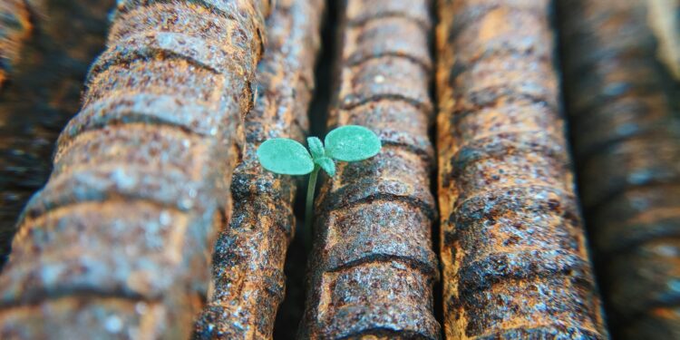 hope, purpose & meaning