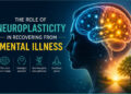 the role of neuroplasticity in mental health recovery